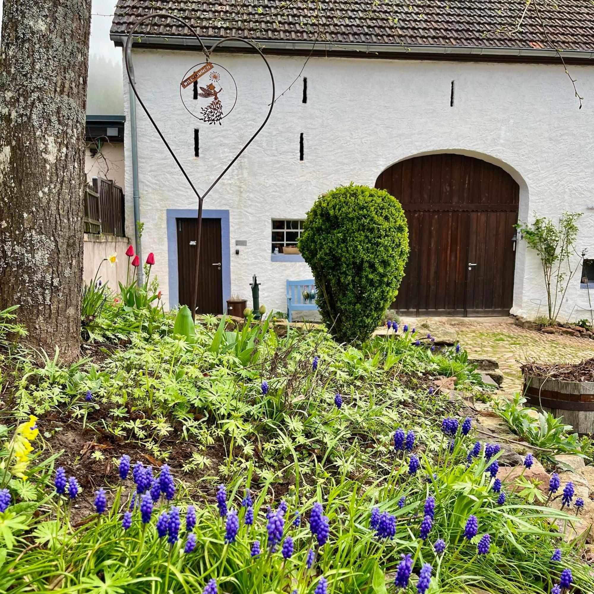 Bauernhaus Vulkaneifel Apartment Schutz Luaran gambar